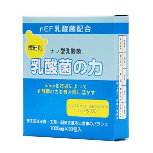 【新品未開封】Ｅコーネ　ナノ乳酸菌　６０粒健康食品