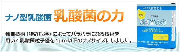 【新商品】ナノ型　乳酸菌の力